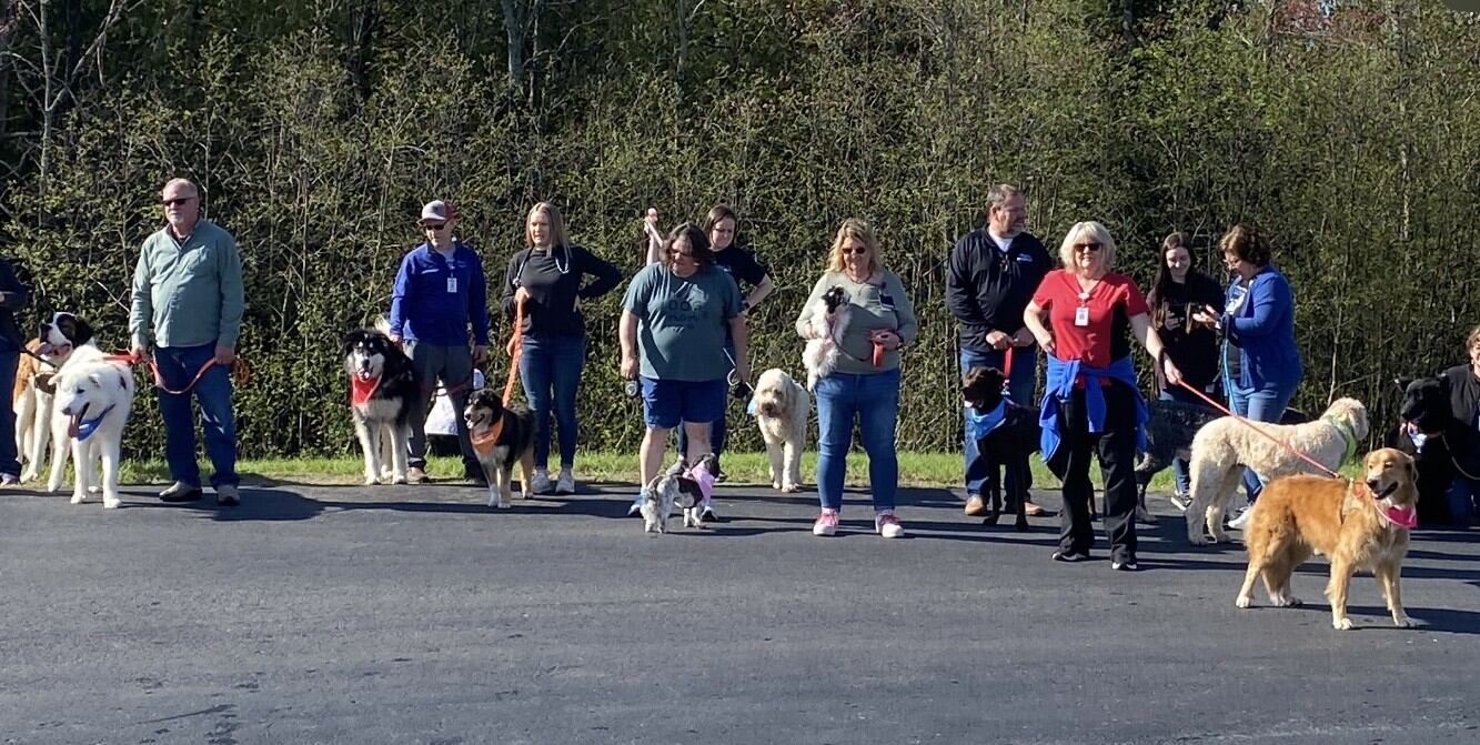 Baraga County Memorial Hospital holds dog parade, contest to wrap up Hospital Week - Vimarsana News