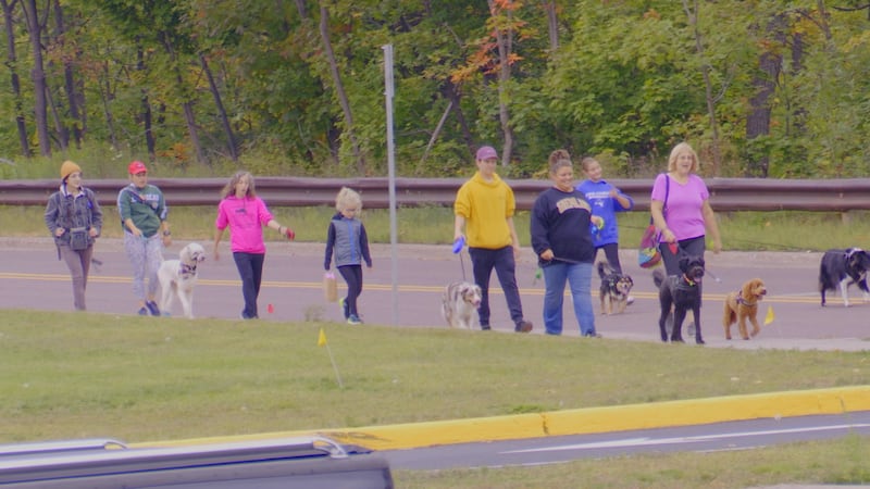 Recently founded dog walking group Paavos Pack Walk has kids and adults spend time socializing...
