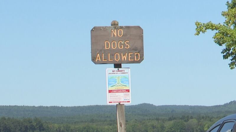 Dogs are not allowed outside vehicles on Presque Isle.
