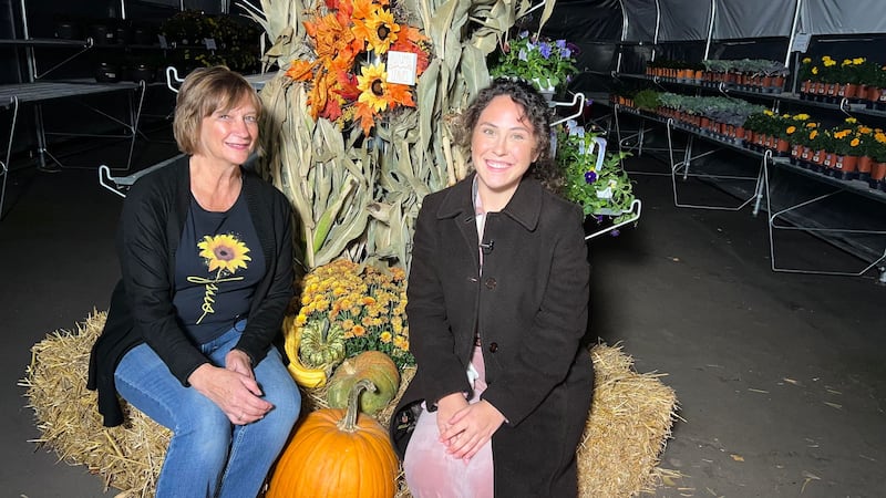 Munising Garden Center has busted out the seasonal decor to celebrate its 4th autumn season.