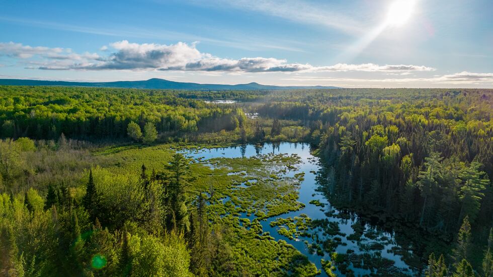 Quincy Aerial Photography - Little Betsy Shoreline