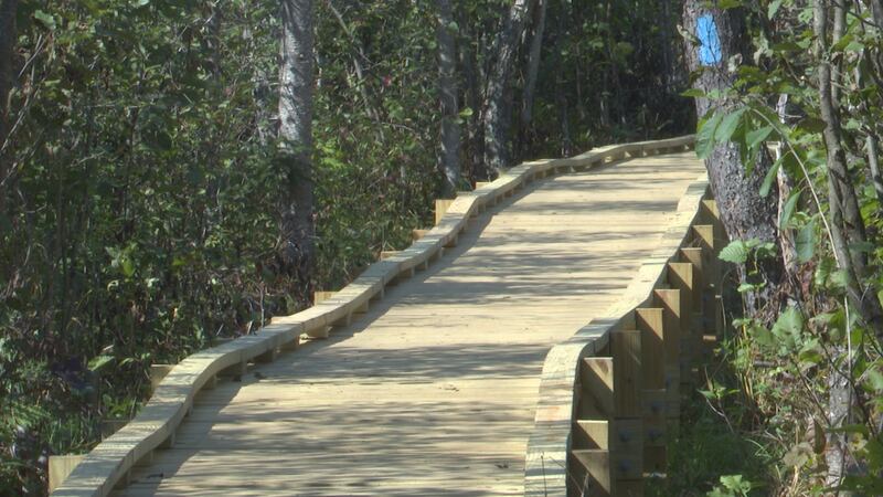 The boardwalk goes across a marsh near the Sands River.