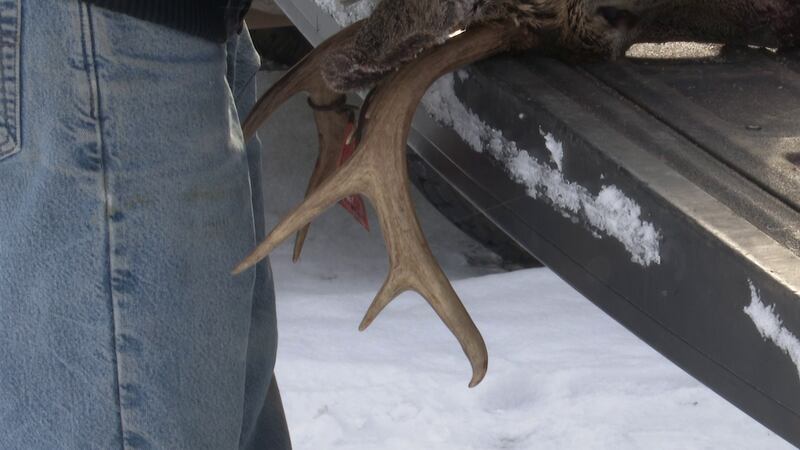 The DNR only needs the deer's head to test for CWD