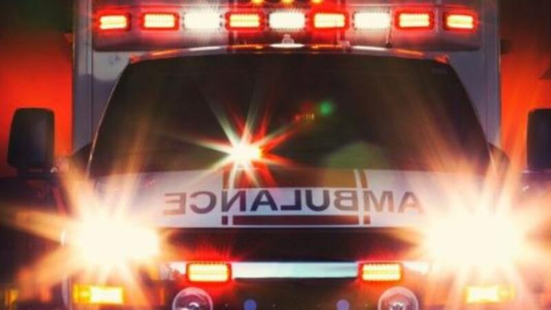 Both the woman and her grandson were taken to the hospital with serious injuries. The...